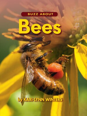 cover image of Buzz About Bees